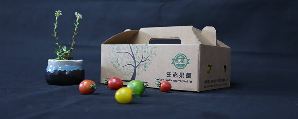 js1996(�й�)���޹�˾