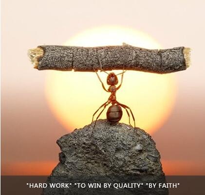 js1996(�й�)���޹�˾