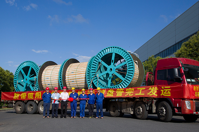 js1996(�й�)���޹�˾