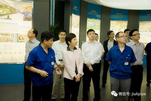 js1996(�й�)���޹�˾